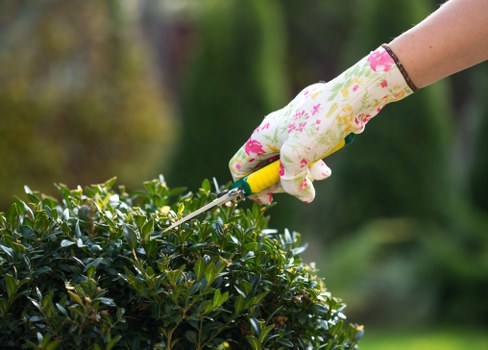Gardener working with tools in a community garden in Tottenham