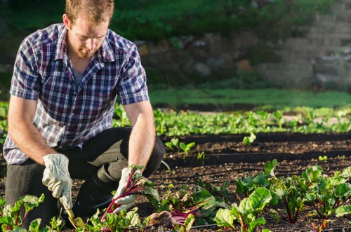 Gardener inspecting plants with protective gloves