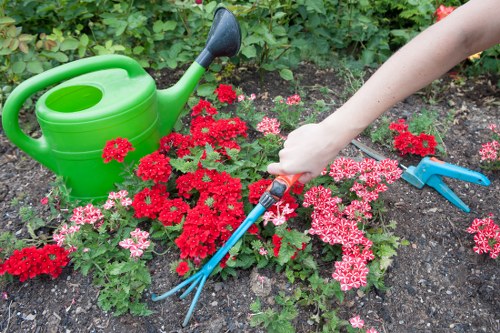 Gardener working in a Tottenham garden, tools and tidy lawn