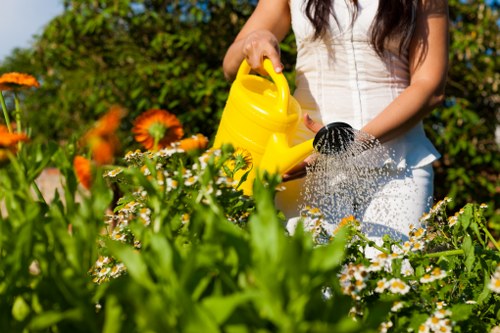 Professional gardeners performing garden clearance in Tottenham