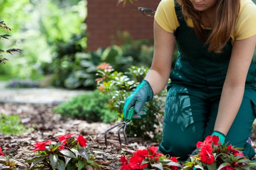Enhancing biodiversity with Tottenham gardening services