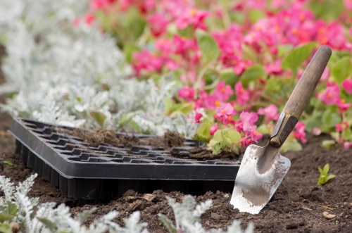 Sustainable gardening practices in a Tottenham garden